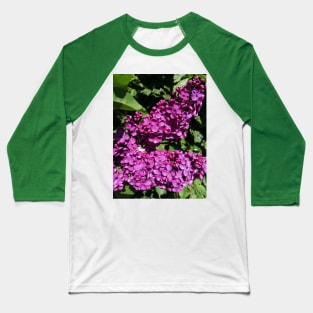 Lovely Lilac Flower Blooming In Spring Baseball T-Shirt